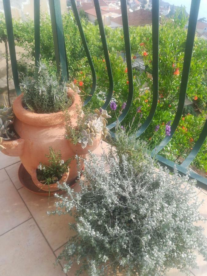 Apartman Betty Šibenik Eksteriør bilde
